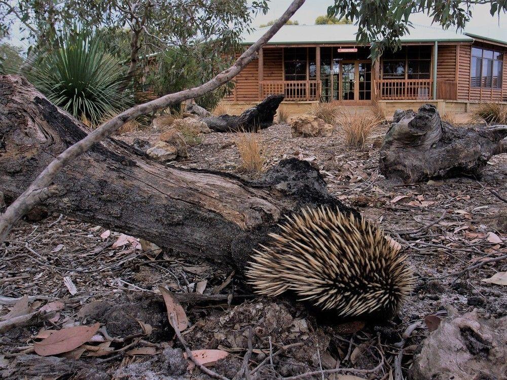 Kangaroo Island Wilderness Retreat Flinders Chase Екстериор снимка