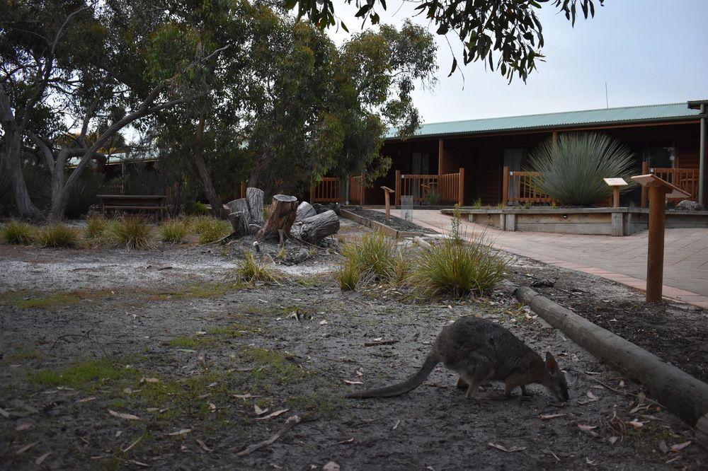 Kangaroo Island Wilderness Retreat Flinders Chase Екстериор снимка