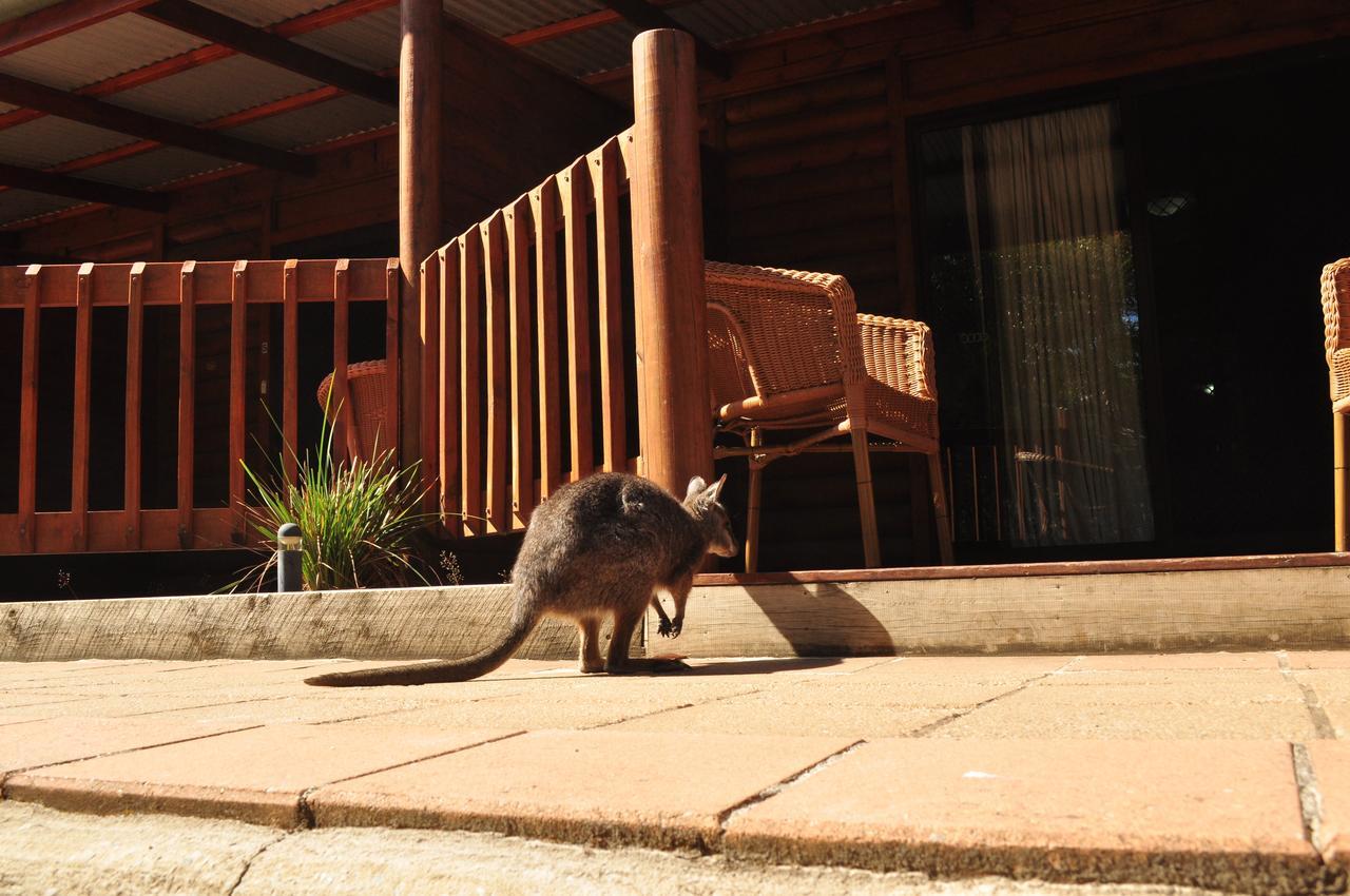 Kangaroo Island Wilderness Retreat Flinders Chase Екстериор снимка