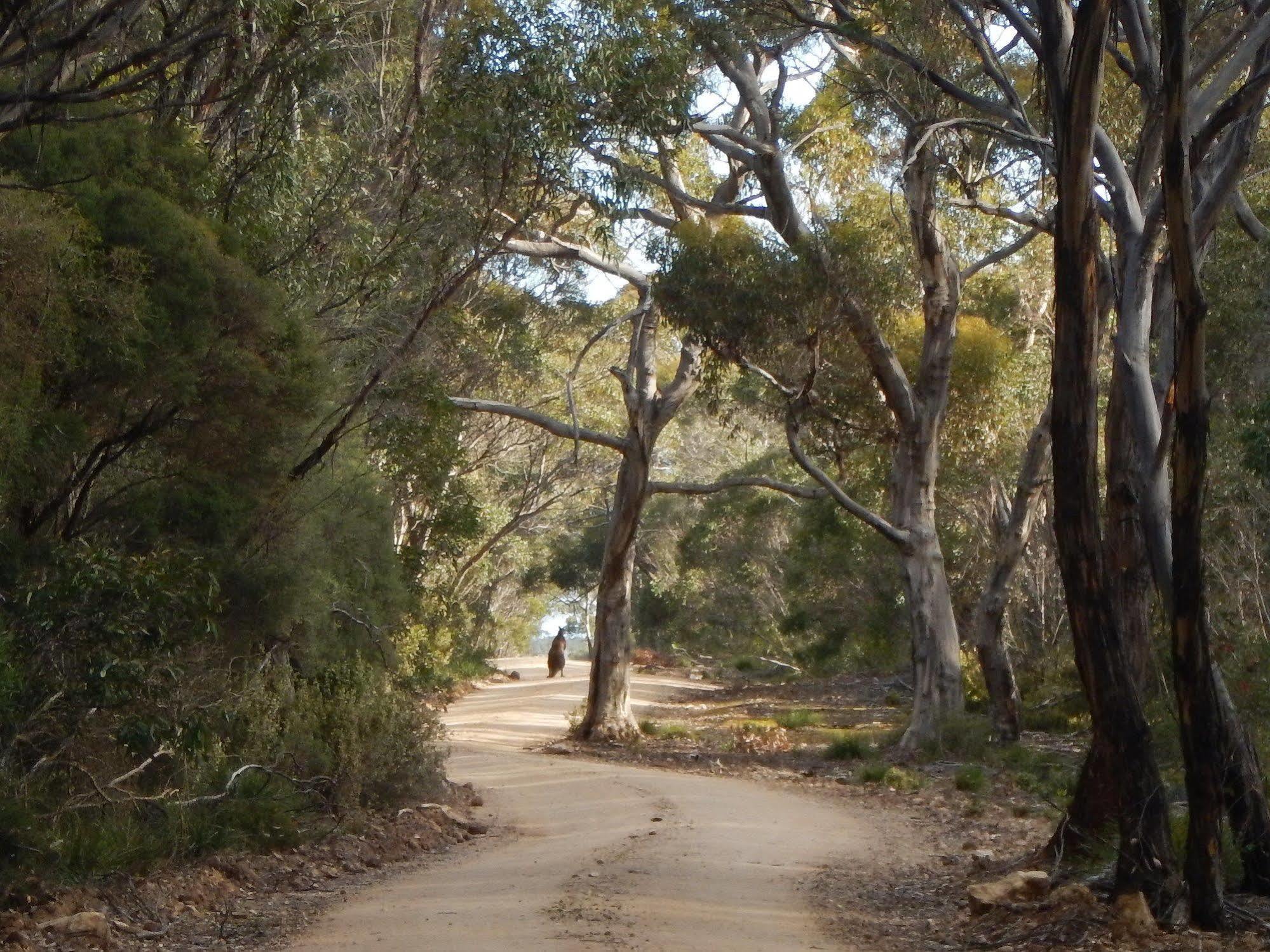 Kangaroo Island Wilderness Retreat Flinders Chase Екстериор снимка
